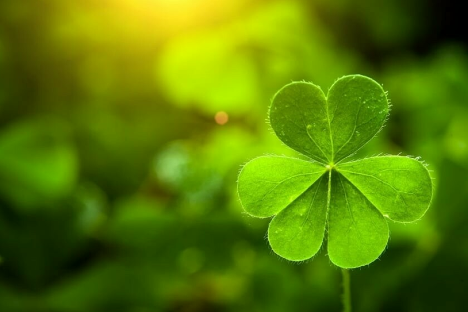 St. Patrick’s Day: The history behind the luck